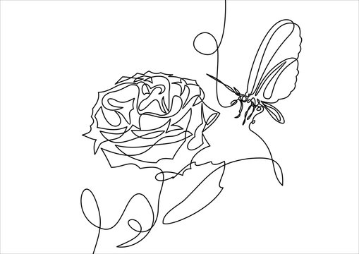 butterfly on rose.Continuous one line