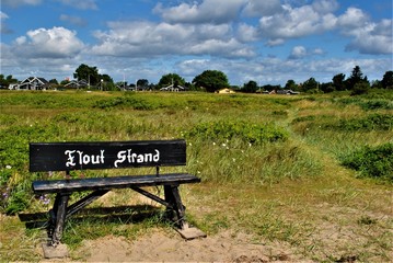 Branch at Flovt Strand Beach in Denmark on a beautiful summer day. Ostsee