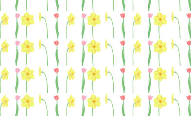Isolated on transparent background vector pattern with jonquil and tulip flowers