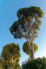 Piazzale Michelangelo