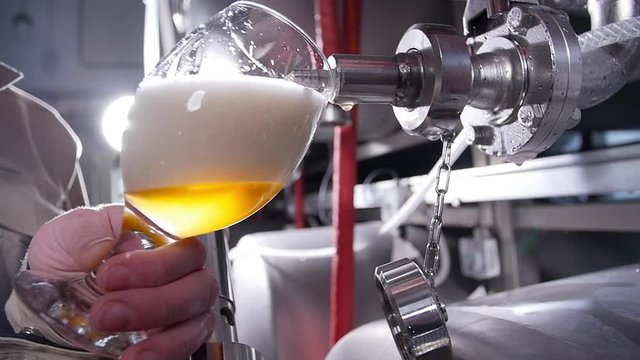 Small business and manufacturing concept. Worker at brewery pouring beer in glass