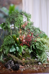 christmas tree with red, green, tree,branch, fir cone