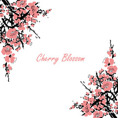 Cherry blossom event template with hand drawn branch with pink cherry flowers blooming. Sakura blossoming festival banner. Chinese or Japanese traditional drawing - Vector