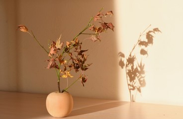 decoration, art, branch, apple, autumn, brown