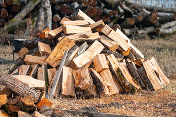 Firewood in the yard prepared for winter