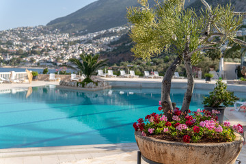 Fototapeta na wymiar Flowers near pool on the mediterranean sea