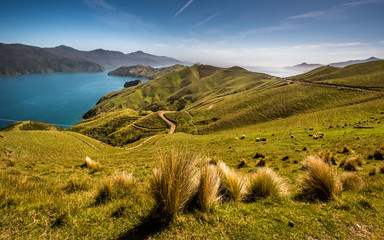 Wide angle panorama photo from French Pass in Marlborough Sounds. Beautiful bay in Tasman sea. Path and walkway in peninsula.