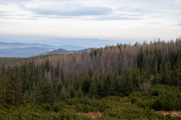 Landscape in the Tatra mountains with focus on the sky and different colors of the wood
