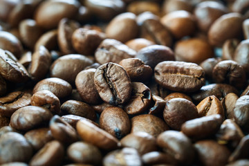 brown coffee grains close-up with blurry background