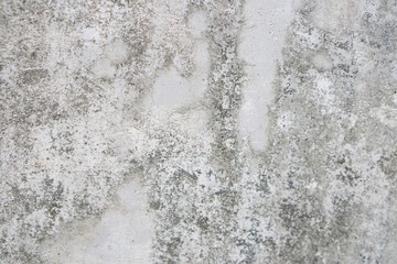 Obraz premium Background wall color peeling lichen stains