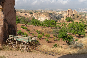 View from Church in Rose Valley