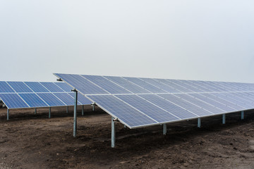 Ecological green  renewable energy. solar panels plant mounted on the ground