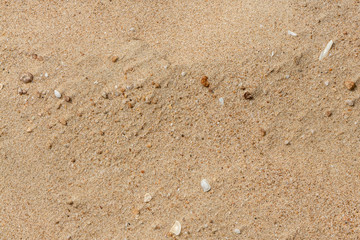Beautiful horizontal texture of yellow sand with waves and shells is in the photo