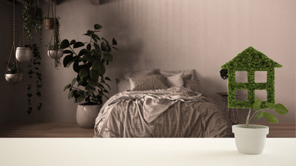 White table top or shelf with green plant in pot shaped like house, country blurred bedroom in the background, interior design, real estate, eco architecture concept idea