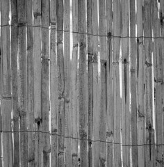 eine Wand aus Schilf Schilfrohr, Schilfmatte oder ähnlichen