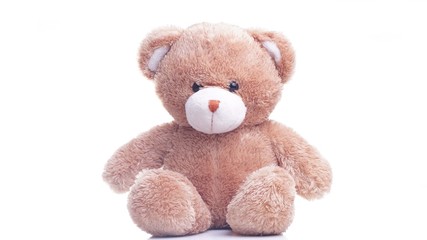 teddy bear isolated on white background