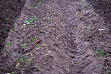 a plowed field ready  for the new seed