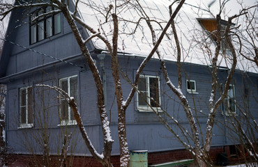 Bare trees in front of a wooden hous