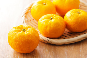 柚子　Yuzu. Japanese citron