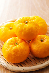柚子　Yuzu. Japanese citron