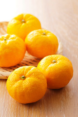 柚子　Yuzu. Japanese citron