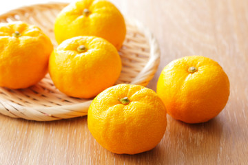 柚子　Yuzu. Japanese citron