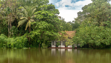 Fototapeta na wymiar Alleppey Kerala India Backwaters with Palm Trees