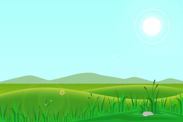vector illustration of a natural landscape of hills with meadows in the morning