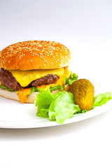 hamburger on white background