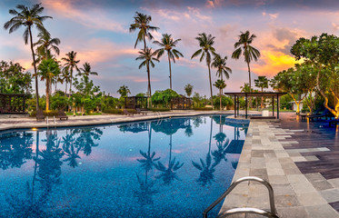 Swimming Pool with Palms at Sunset