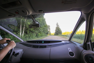 View of forest road through car glass.