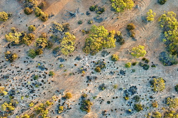 Australian outback in the sunset