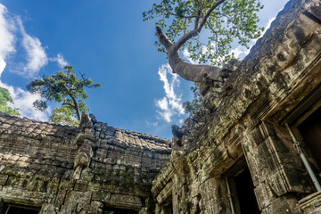 Fototapeta premium Angkor Wat, Cambodia