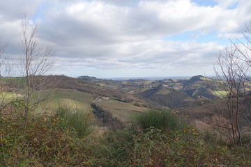 Colline pesaresi