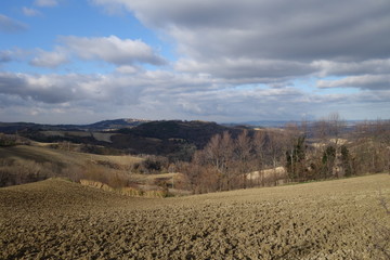 Colline Pesaresi