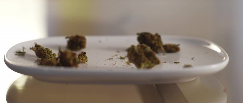 Cannabis buds falling on a plate, slow motion, CBD, THC footage, close up. BMPCC 4K. Marijuana, weed, smoking drugs concept