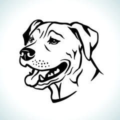 Portrait vector illustration of american pitbull terrier dog