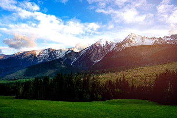 Summer mountain landscape. Tatra Mountains, Slovakia. Nature.