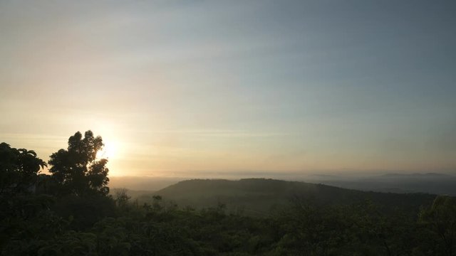 Trees Silhouettes and fog at Sunrise in Brazil