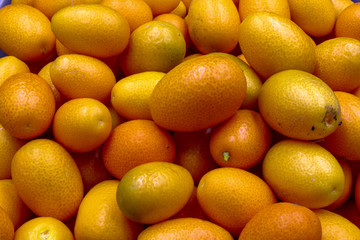 fresh orange citrus Kumquat fruit isolated on a black background