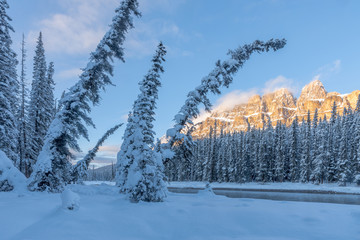 Leaning trees and Castle Mountain at Castle Junction in Banff National Park, Alberta, Canada