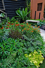 Home office in  a Courtyard Garden of an urban house and with exotic plants