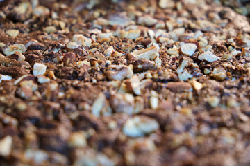 close up cenital view of a brownie dessert with nuts and almonds