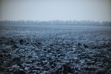 plowed field in the first snow