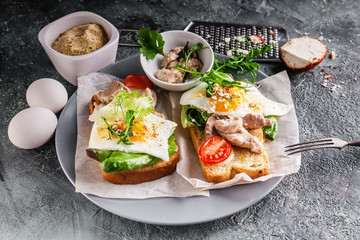 Appetizing sandwiches with egg, pate, herbs and cheese on a gray background. Close-up