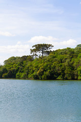 Landscape with lake and atlantic forest under the sky