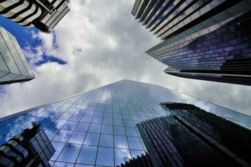 skyscrapers in the city