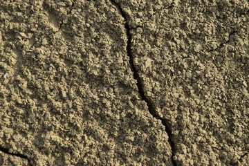 wet ground texture