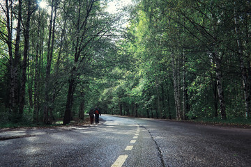 Bright spring greens at dawn in the forest. Nature comes to life in early spring.