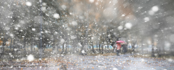 Background autumn park in the first snow